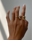 Waning Moon Set